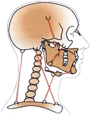 Schematisierte Darstellung Kopf, Unterkiefer und Halswirbelsäule.